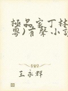 极品家丁林劲(粤)有声小说