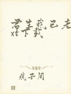君生我已老 txt下载