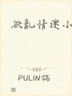 欲乱情迷小说