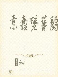 青春校花的堕落小说免费阅读