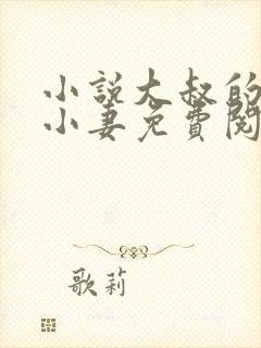 小说大叔的私宠小妻免费阅读