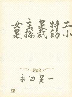 女主是特工男主是总裁的小说