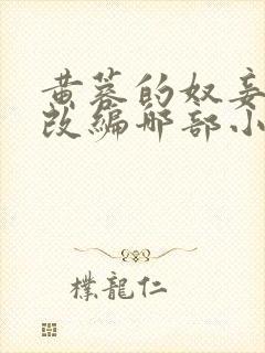 黄蓉的奴妾小说改编哪部小说