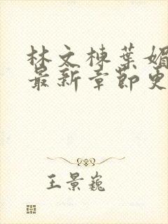 林文栋叶媚小说最新章节更新免费阅读封面