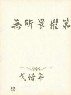 无所畏惧第二部