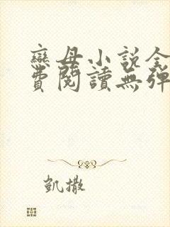恋母小说全文免费阅读无弹窗笔趣阁封面