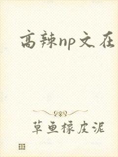 高辣np文在线