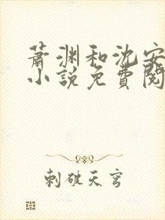 萧渊和沈安安的小说免费阅读