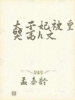 太子妃被皇上c哭高h文封面