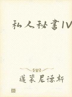 私人秘书1V1