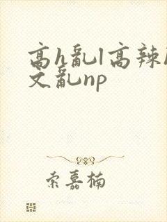 高h乱l高辣h文乱np