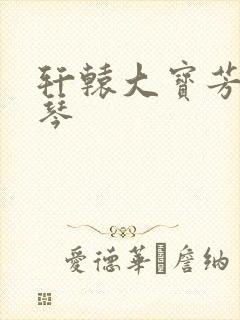 轩辕大宝芳菲雅琴