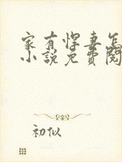 家有悍妻怎么破小说免费阅读封面