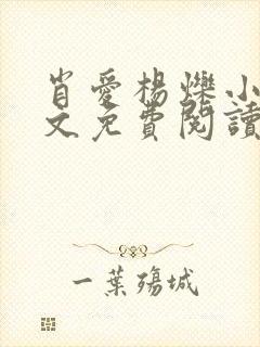 肖爱杨烁小说全文免费阅读最新章节