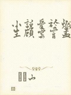 小说爱于燃尽新生顾云霄孟卿月在线阅读