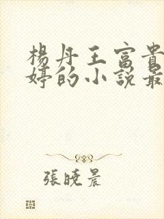 杨丹王富贵苏曼婷的小说最新章节更封面