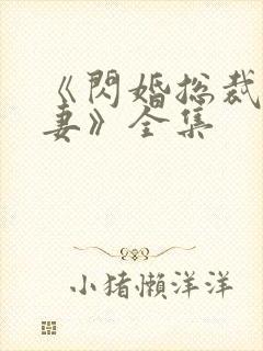 《闪婚总裁契约妻》全集