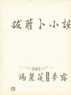 拔萝卜小说