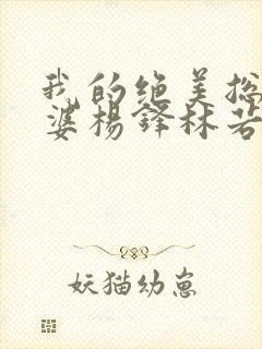 我的绝美总裁老婆杨锋林若彤