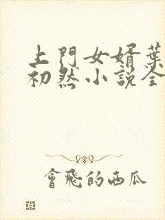 上门女婿叶辰萧初然小说全集