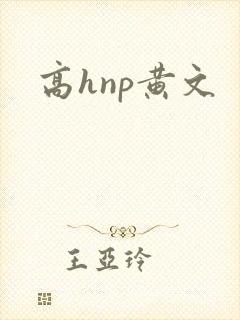高hnp黄文