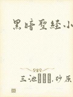 黑暗圣经小说