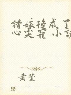错嫁后成了总裁心尖宠 小说