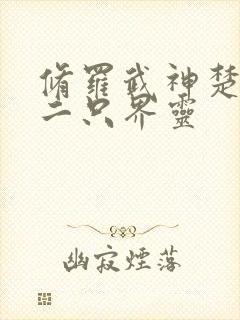 修罗武神楚枫第二只界灵封面