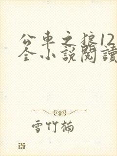 公车之狼12集全小说阅读封面
