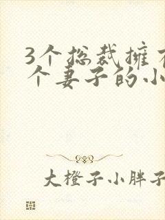 3个总裁拥有一个妻子的小说封面
