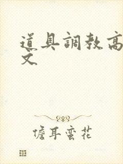 道具调教高h污文