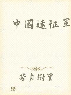 中国远征军小说