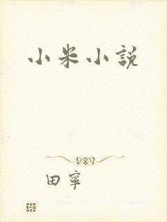 小米小说