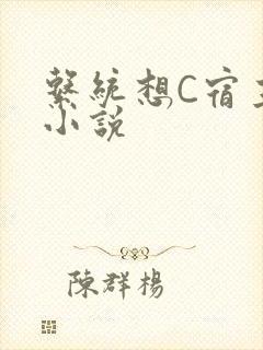 系统想C宿主的小说