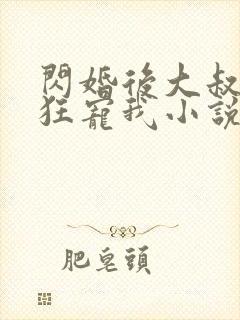 闪婚后大叔每天狂宠我小说