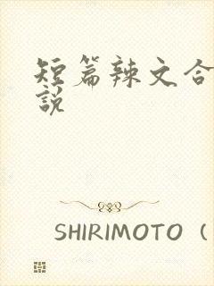 短篇辣文合集小说