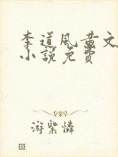 李道风黄文茵的小说免费