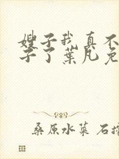 嫂子我真不是傻子了叶凡免费下载