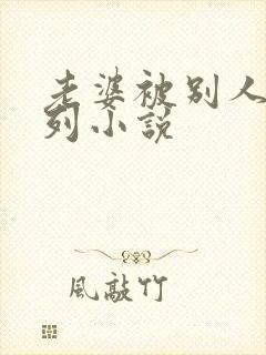 老婆被别人干系列小说