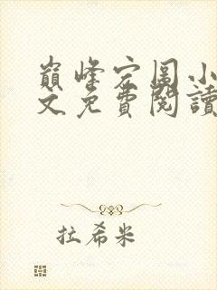 巅峰宏图小说全文免费阅读无弹窗
