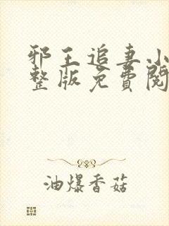 邪王追妻小说完整版免费阅读