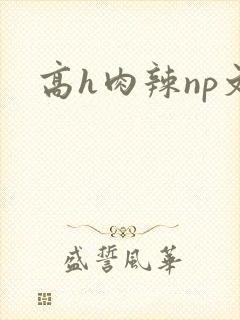 高h肉辣np文