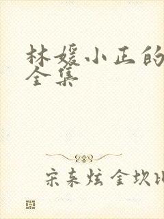 林媛小正的小说全集