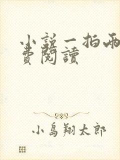 小说一拍两散免费阅读