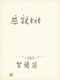 应该txt