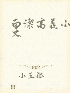 白洁高义小说全文