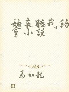 她来听我的演唱会小说
