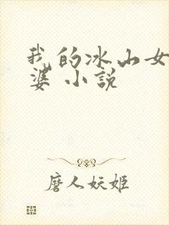 我的冰山女神老婆 小说