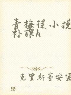 青梅从小摸到大补课h