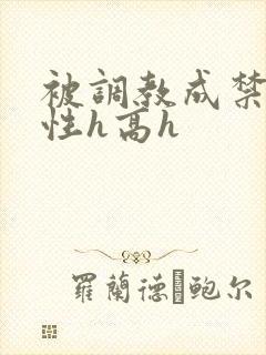 被调教成禁脔双性h高h
